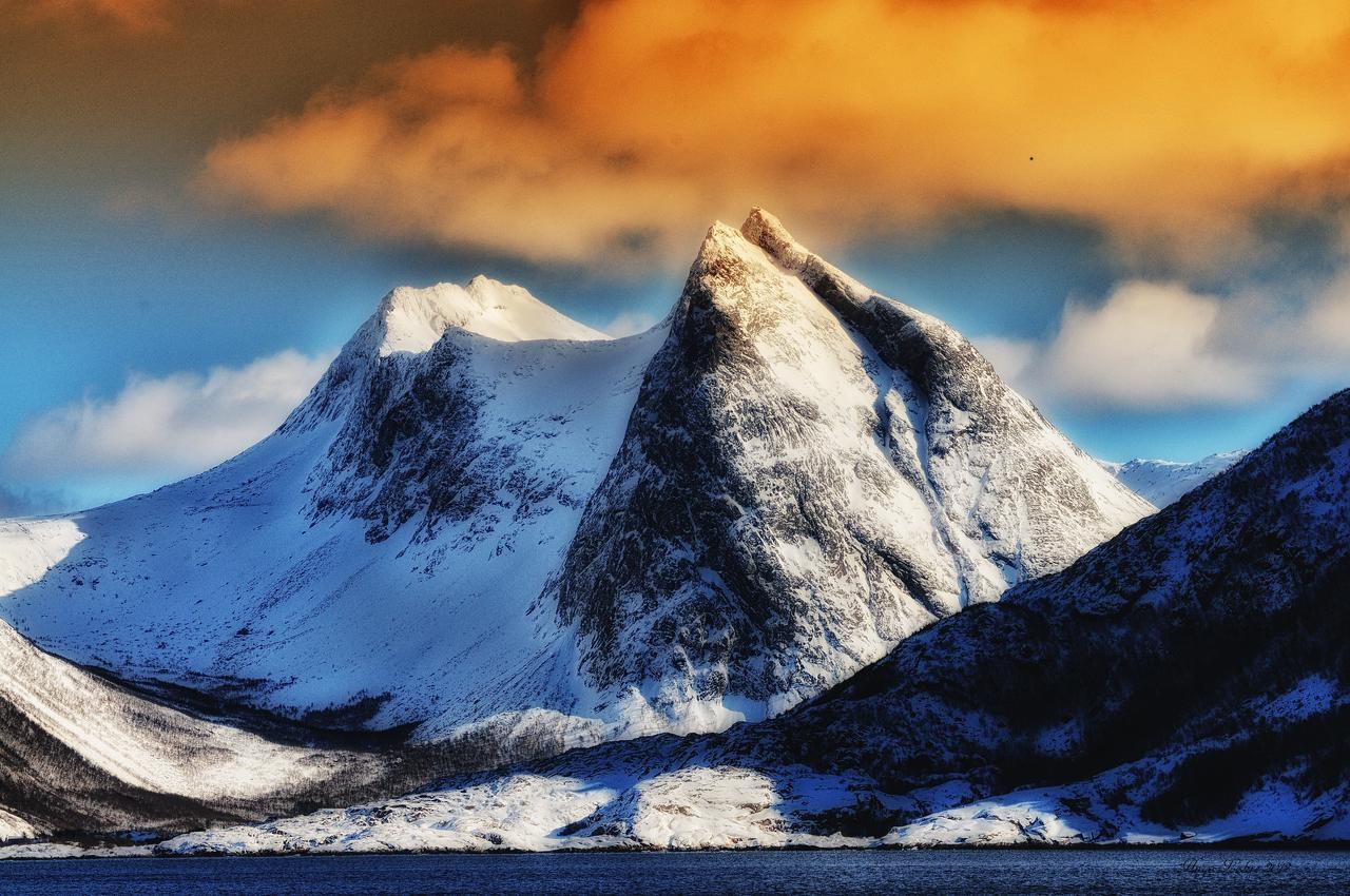 Senja Fjordhotell And Apartments Stonglandseidet Exterior foto